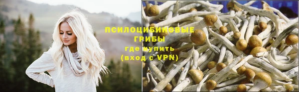 СК Алзамай