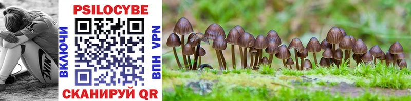 площадка состав  Кашин  Псилоцибиновые грибы MAGIC MUSHROOMS 