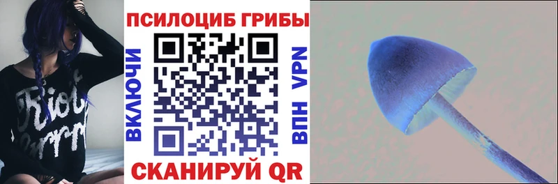 Псилоцибиновые грибы Cubensis Кашин