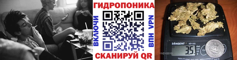 как найти закладки  Кашин  мориарти наркотические препараты  Шишки марихуана MAZAR 
